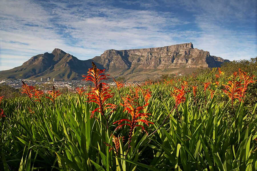 Cape-Town.---02