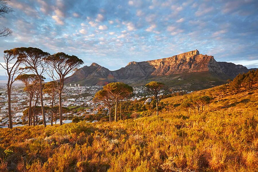 Cape-Town.---03