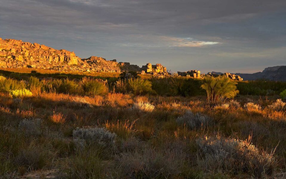 Cederberg-01