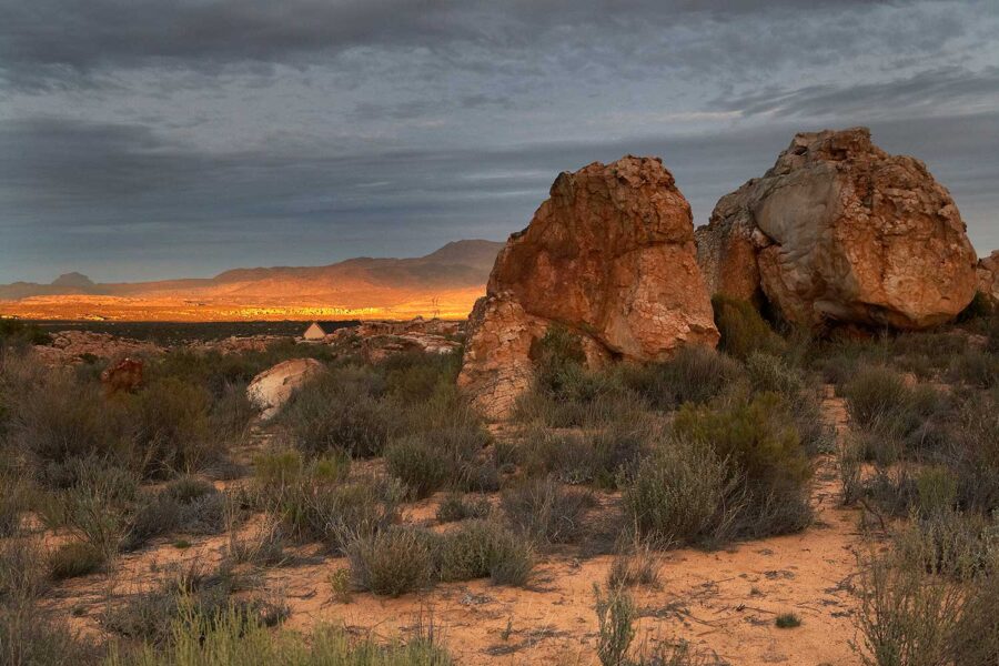Cederberg-03