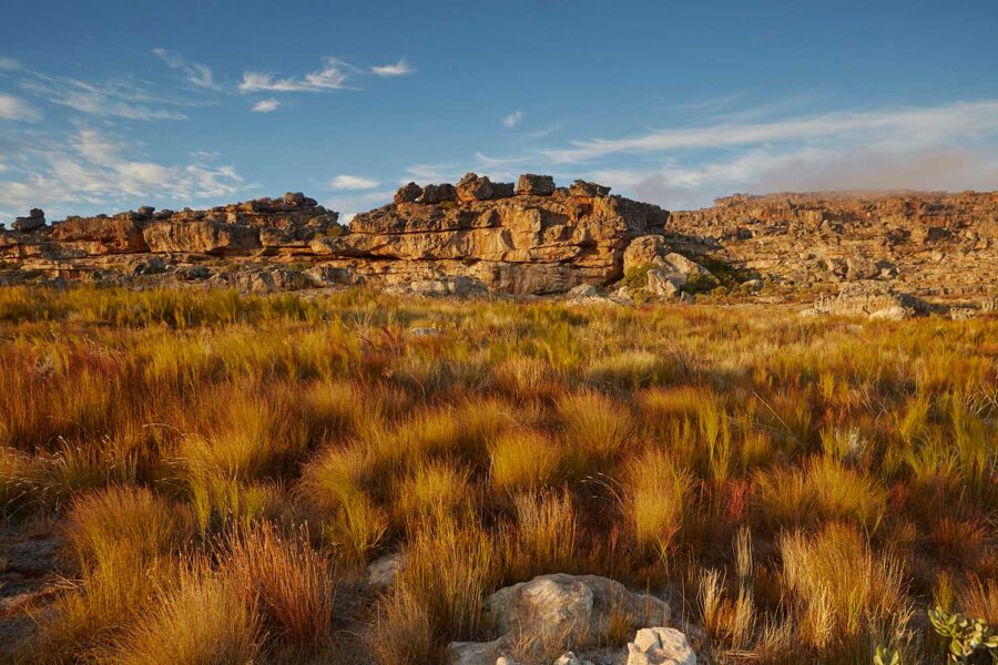 Cederberg-10