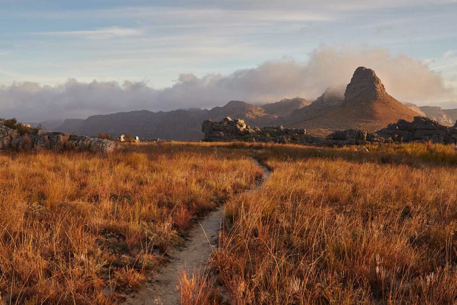 Cederberg-11