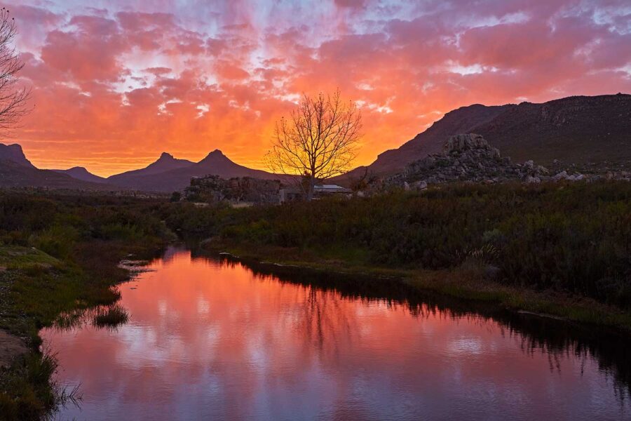 Cederberg-12
