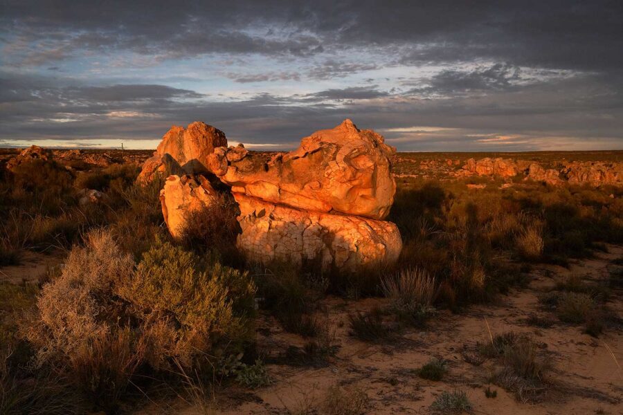 Cederberg-19