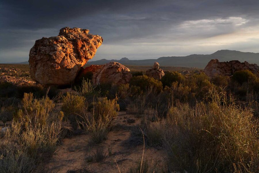 Cederberg-20