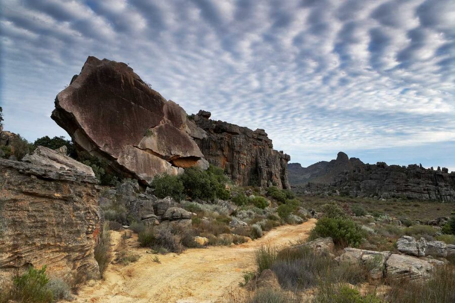 Cederberg-24