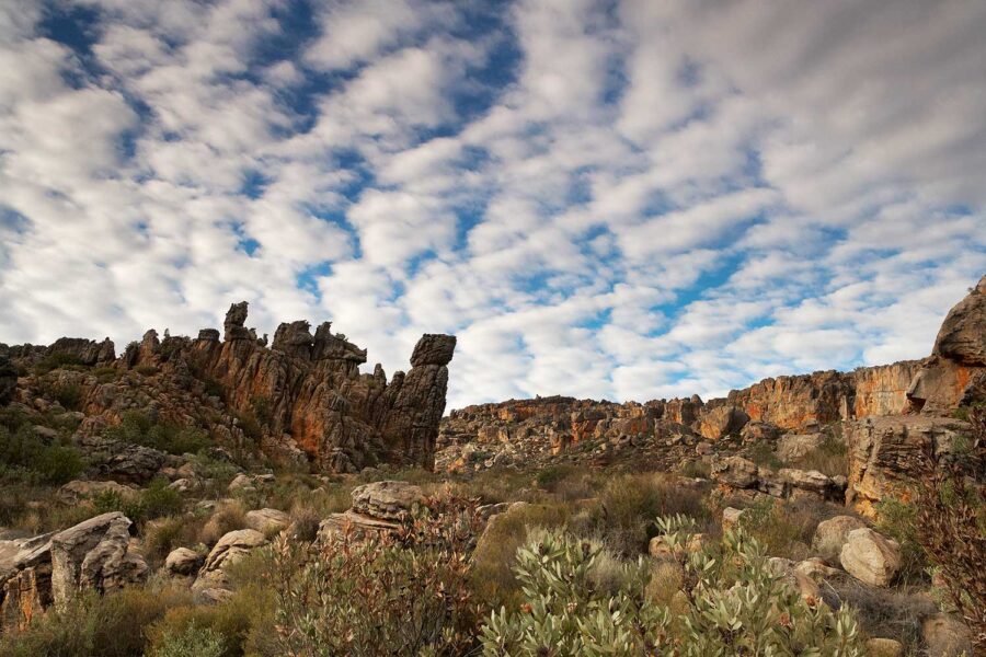 Cederberg-25