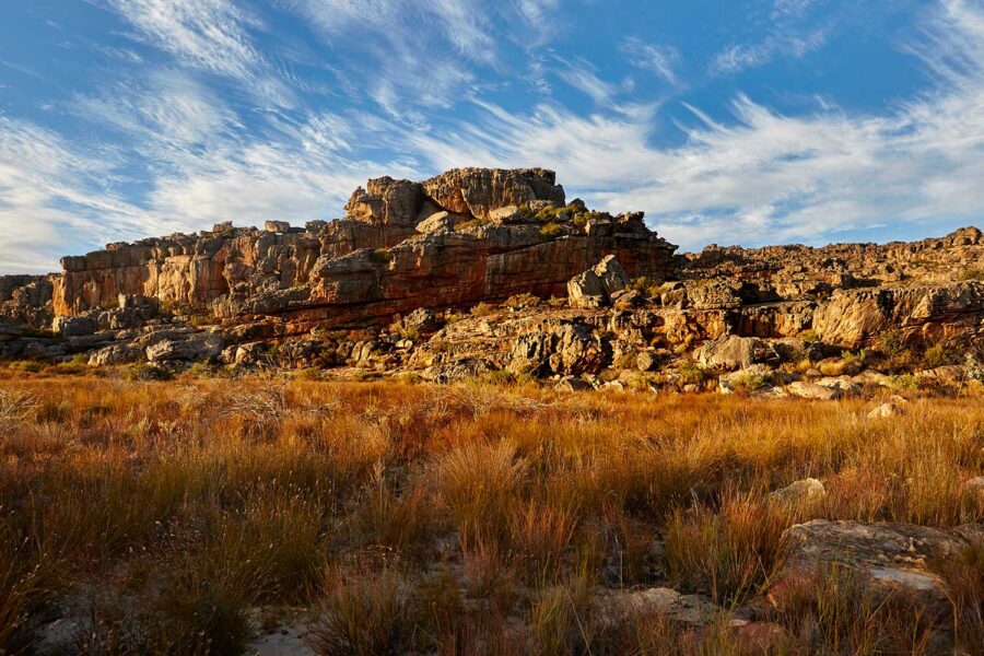 Cederberg-26