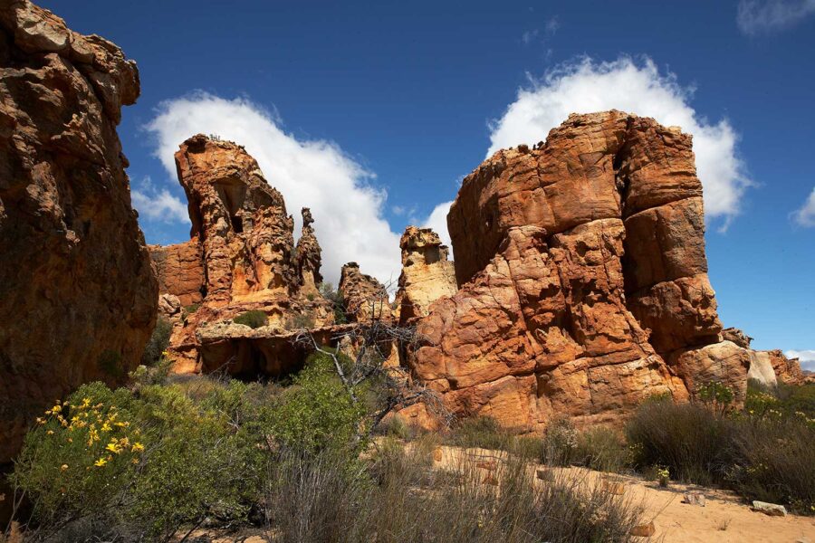 Cederberg-41-