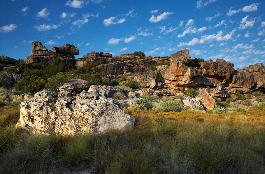 Cederberg-43