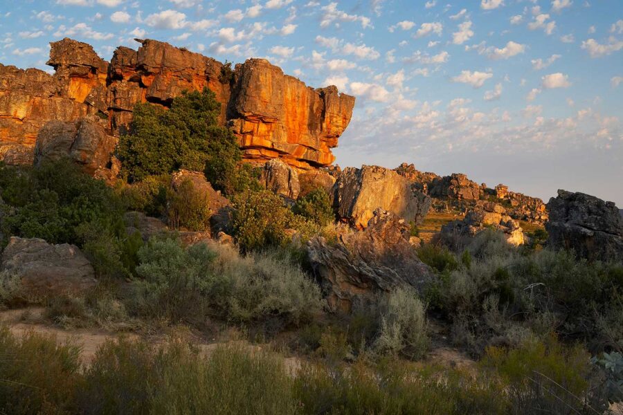 Cederberg-44