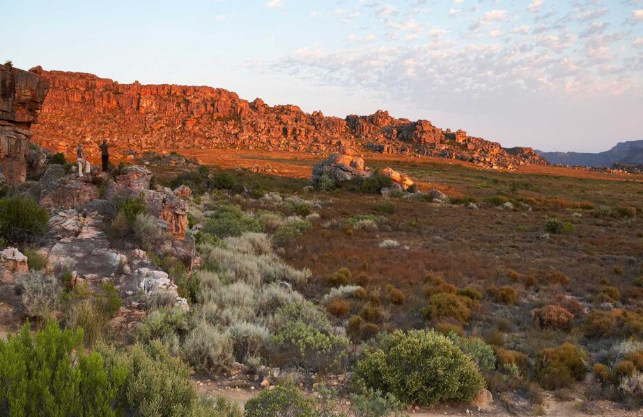 Cederberg-46