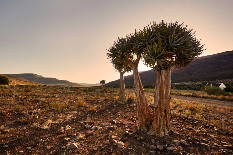 Cederberg-48