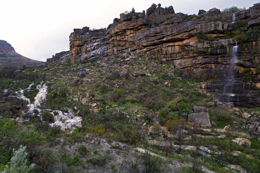 Cederberg-50