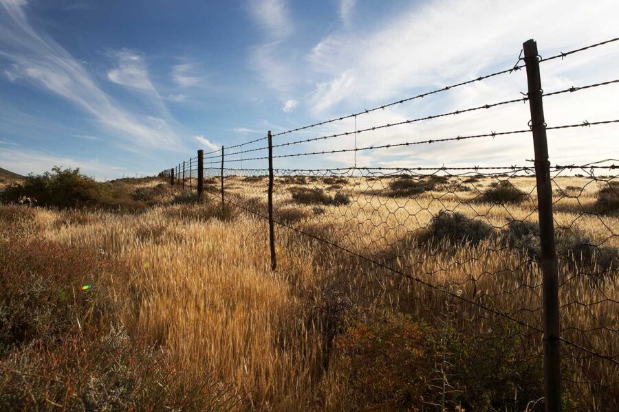 Landscape-19