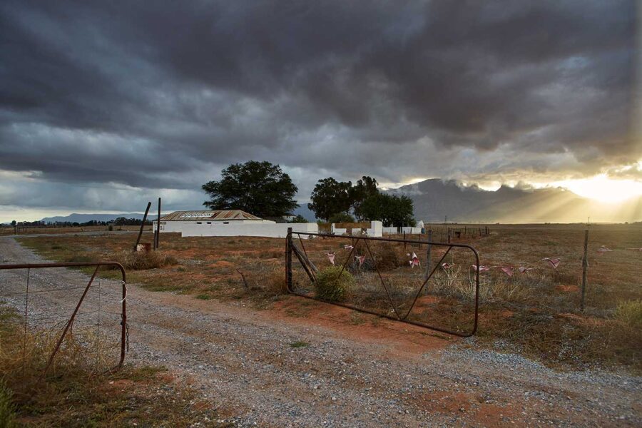 Landscape-21