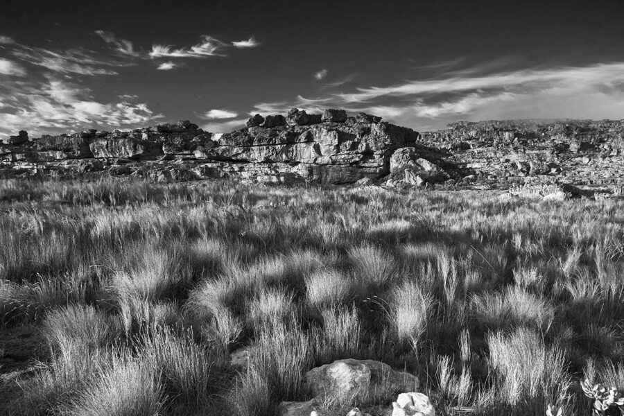 MONOCHROME-05-