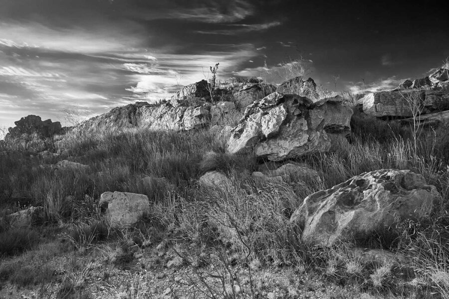 MONOCHROME-10