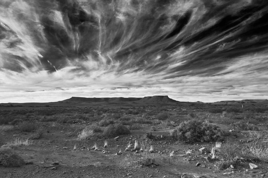 MONOCHROME-29