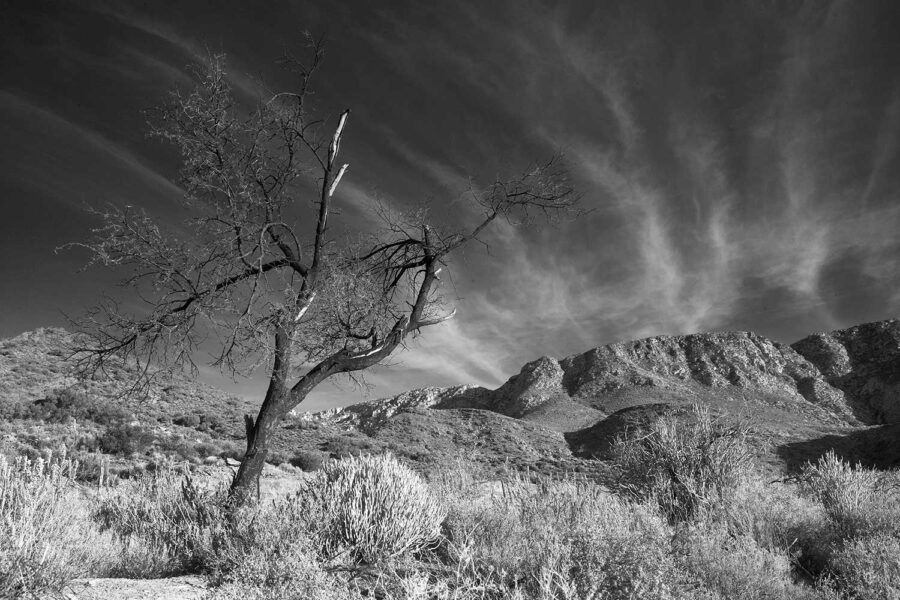 MONOCHROME-35