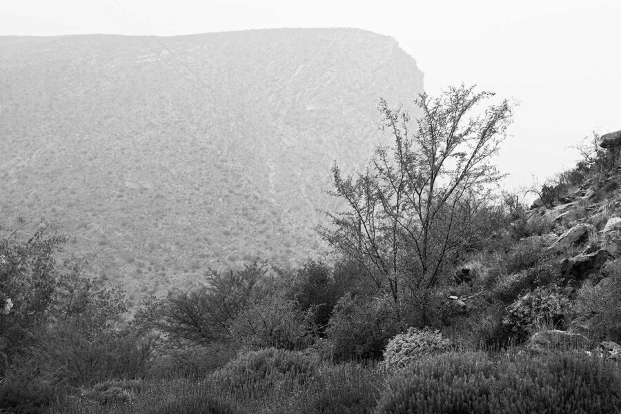 MONOCHROME-39