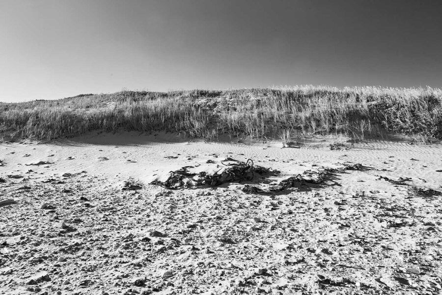 MONOCHROME-54