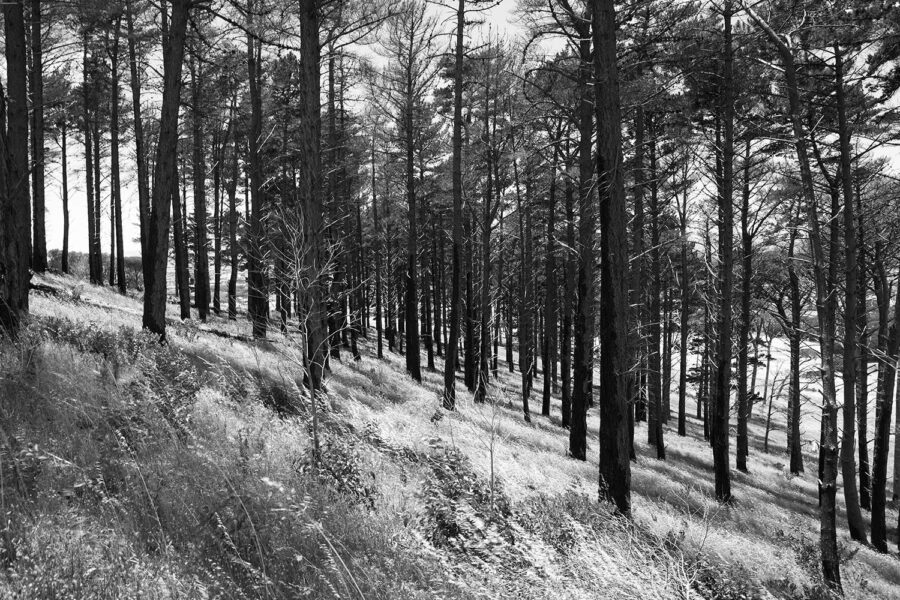 MONOCHROME-59